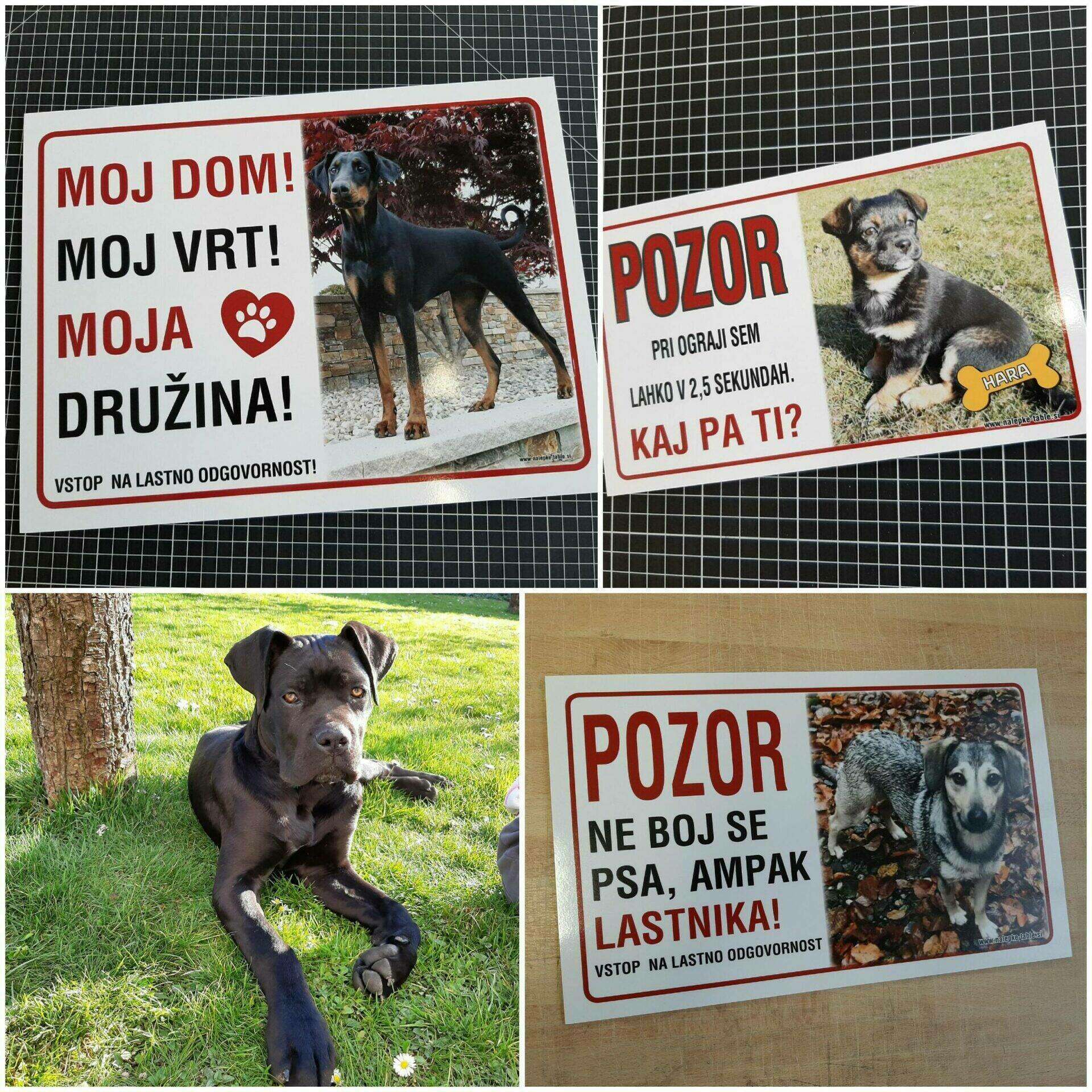 Pozor pes tablica